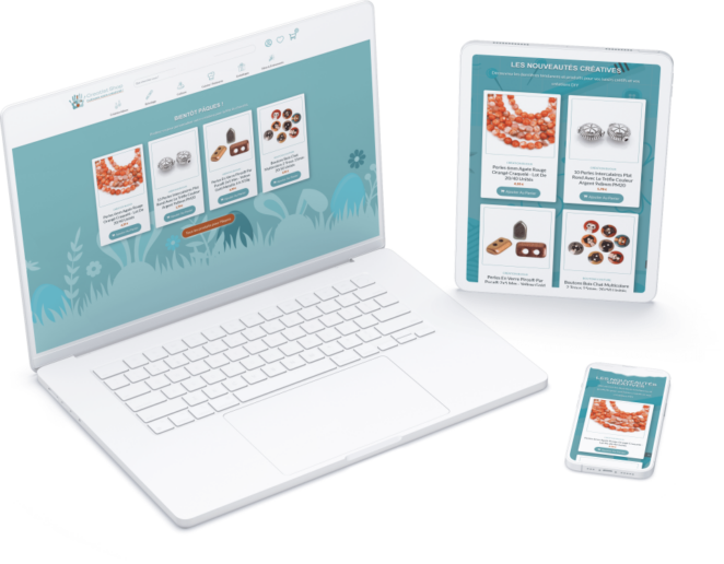 Refonte e-commerce Wordpress